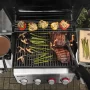 Weber Spirit EP-435 #1